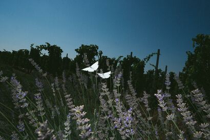Quando fuori tira vento - a Photographic Art Artowrk by andrea buzzichelli